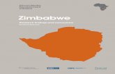 Zimbabwe - African Media Initiative