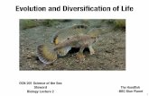 Evolution and Diversiﬁcation of Life