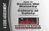 CULTURE OF SAFETY MATURITY LEVEL ASSESSMENT