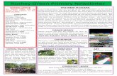 Rushey Green Primary Newsletter - Schudio