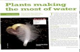 Water Movement in Plants - A. Hammond Biology - Home