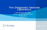 The Diagnostic Vascular Laboratory
