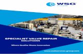 SPECIALIST VALVE REPAIR - WSG Home