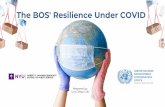 BOS's Resilience Under COVID