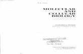 MOLECULAR AND CELLULAR BIOLOGY - dandelon.com