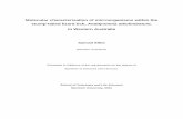 Molecular characterisation of microorganisms within the ...