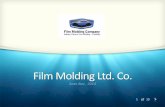 Film Molding Ltd. Co.