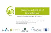 Copernicus Sentinel-2 Global Mosaic