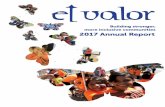 Building stronger, more inclusive communities 2017 Annual ...