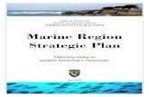 Strategic Plan 20090630 - California