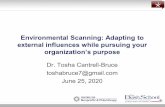 Environmental Scanning: Adapting to external influences ...