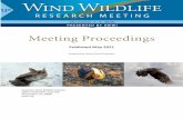 Meeting Proceedings