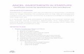 ANGEL INVESTMENTS IN STARTUPS