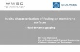 In-situ characterisation of fouling on membrane surfaces