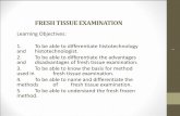 FRESH TISSUE EXAMINATION - DPG Polytechnic