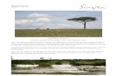 Wildlife Report - Singita