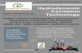 Hydrodynamic Powered by E-Pic S.r.l. ROTOCAV Cavitation