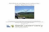 Shared Birds and Migratory Connectivity Raptor Migration ...