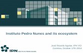 Instituto Pedro Nunes and its ecosystem