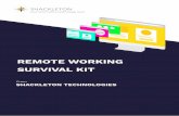 Remote Working Survival Kit