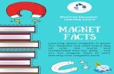 Magnets - Bluetree Education