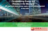 Co-optimizing Energy and Process in the Microgrid