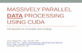 Massively Parallel Data Processing using CUDA