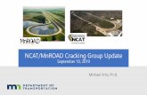 NCAT/MnROAD Cracking Group Update