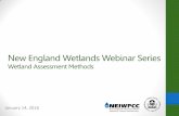 Wetland Assessment Methods - NEIWPCC
