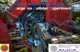 First results from ALICE A Large Ion Collider Experiment