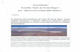 Consolidado Ecocidio Salar de Punta Negra por Minera ...