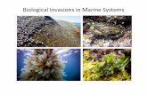 Biological Invasions in Marine Systems - StFX