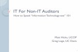 IT For Non-IT Auditors - University of Texas System