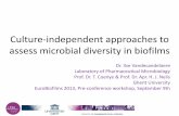 Culture-independent approaches to assess microbial ...