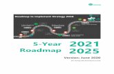 5-Year 2021 Roadmap 2025