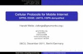 Cellular Protocols for Mobile Internet