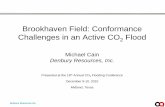 Brookhaven Field: Conformance Challenges in an Active CO Flood