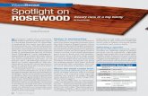 WoodSense Spotlight on - Woodworking Plans & Tools