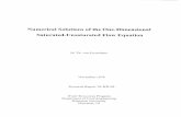 Numerical Solutions of the One-Dimensional