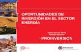 OPORTUNIDADES DE INVERSIÓN EN EL SECTOR ENERGÍA