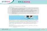 Heart Problems in Dogs - PDSA