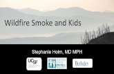 Wildfire Smoke and Kids PowerPoint Presentation