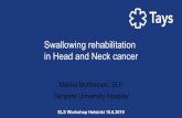 Swallowing rehabilitation in Head and Neck cancer