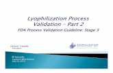 FDA Process Validation Guideline: Stage 3