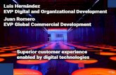 Luis Hernández EVP Digital and Organizational Development ...