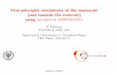 First-principles simulations at the nanoscale (and towards ...