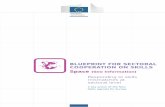 Blueprint for Sectoral Cooperation on Skills: Space (geo ...