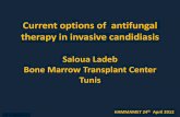 Current options of antifungal therapy in invasive candidiasis
