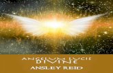 ANGELUM LUCIS DIVINE - Seraphim Deliverance