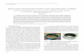 Metal Ceramic Segmented Ring Transducer under Deep ...